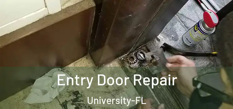 Entry Door Repair University-FL