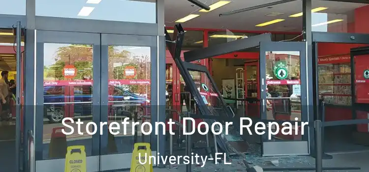 Storefront Door Repair University-FL